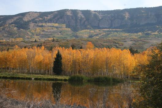 Colorado Fall Color