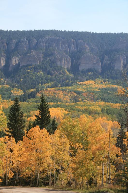 Fall Color Colorado