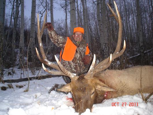 Elk Hunt Cimarron Colorado Pleasant Valley